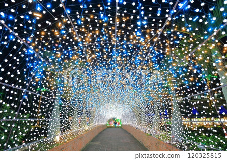[Okinawa Prefecture] Tropical illuminations at Southeast Botanical Gardens (Churayashi Park Okinawa) 120325815