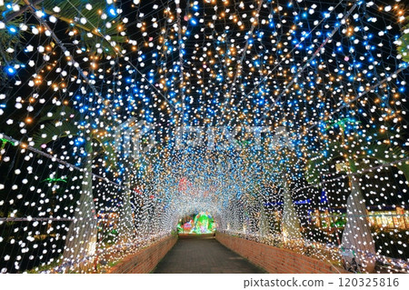 [沖繩縣] 東南植物園（沖繩美麗石公園）的熱帶燈飾 120325816