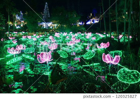 [沖繩縣] 東南植物園（沖繩美麗石公園）的熱帶燈飾 120325827