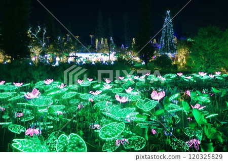 [Okinawa Prefecture] Tropical illuminations at Southeast Botanical Gardens (Churayashi Park Okinawa) 120325829