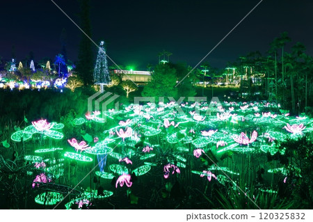 [Okinawa Prefecture] Tropical illuminations at Southeast Botanical Gardens (Churayashi Park Okinawa) 120325832