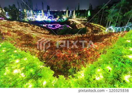 [Okinawa Prefecture] Tropical illuminations at Southeast Botanical Gardens (Churayashi Park Okinawa) 120325836