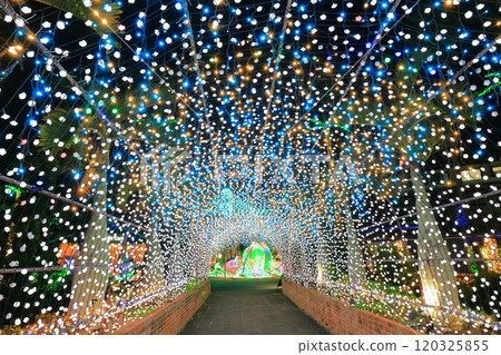 [Okinawa Prefecture] Tropical illuminations at Southeast Botanical Gardens (Churayashi Park Okinawa) 120325855