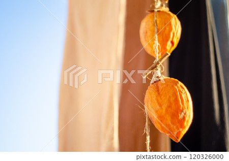 Dried persimmons hanging out to dry with the laundry, waiting to be completed 120326000