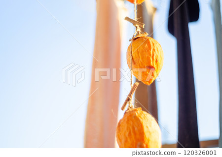 Dried persimmons hanging out to dry with the laundry, waiting to be completed 120326001