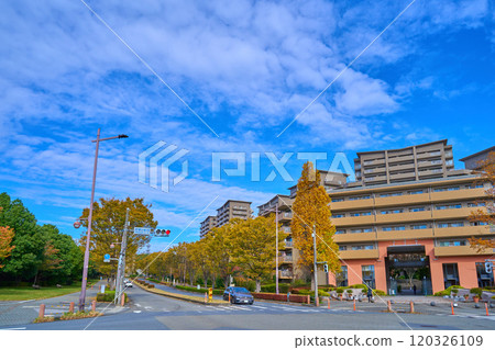 秋天的東京稻城市若葉台二丁目若葉台站西十字路口附近向西北側三丁目方向望去 120326109