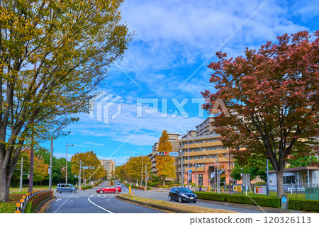 Looking northwest from the Wakabadai Station West intersection in Wakabadai 2-chome, Inagi City, Tokyo in autumn toward 3-chome Looking northwest from the Wakabadai Station West intersection in Wakabadai 2-chome, Inagi City, Tokyo in autumn toward 3-chome 120326113