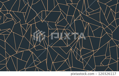 Abstract Geometric Line Pattern 120326117