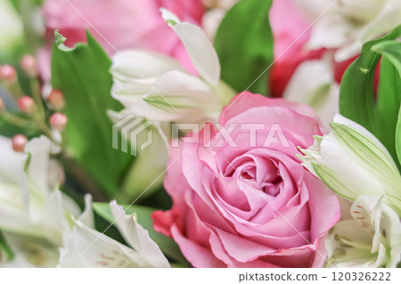 Beautiful pink rose in flower arrangement. Decoration of roses and ornamental plants, selective focus 120326222