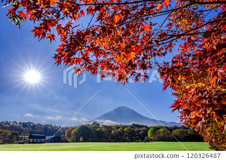 Autumn leaves and Mt. Fuji from Roadside Station Narusawa Autumn leaves and Mt. Fuji from Roadside Station Narusawa 120326487
