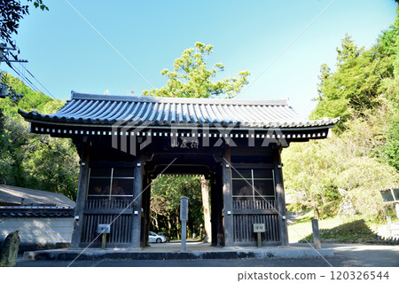 No.10 德道山觀音桐旗寺（仁王門）[德島縣阿波市市場町] 120326544