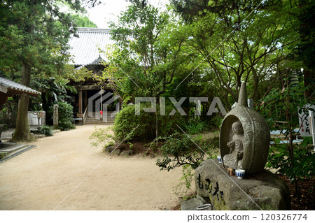 Temple No. 46: Iozan Yojuin Joruriji Temple (Momi Daishi) [Joruricho, Matsuyama City, Ehime Prefecture] 120326774