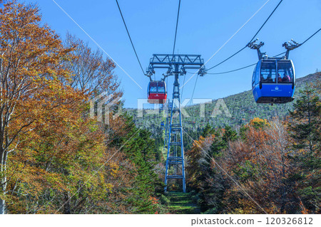 Zao Sky Cable in Autumn 120326812