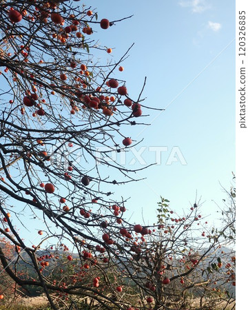 Peaceful autumn scenery Peaceful autumn scenery 120326885