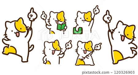 A deformed illustration set of a cat character holding a pointing stick 120326903
