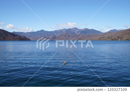 中禪寺湖（栃木縣日光市） 120327109