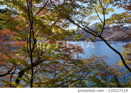 中禪寺湖（栃木縣日光市） 120327124