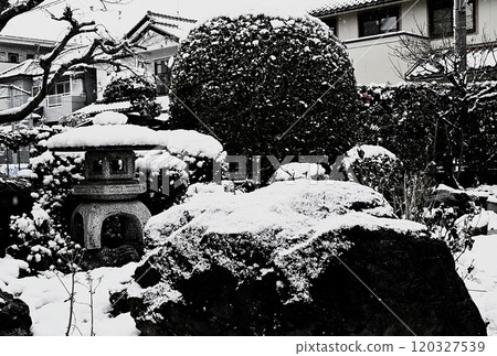 A Japanese-style garden covered in snow A Japanese-style garden covered in snow 120327539