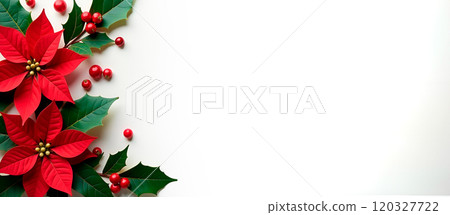 Christmas white background with poinsettia and holly. Banner with copy space, for text. Top view, flat lay 120327722
