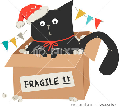 black cat in santa hat in box 120328102