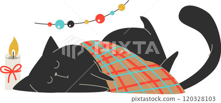 black cat sleeping under blanket 120328103