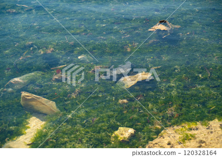 Plastic trash floating in the ocean Plastic trash floating in the ocean 120328164