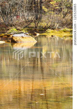 多澤沼裡磐梯風景 多澤沼裡磐梯風景 120328865