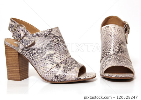 Snake Skin Print Wedge High Heel Shoes on White Background 120329247