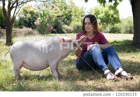miniature pig and farmer in garden 120330133