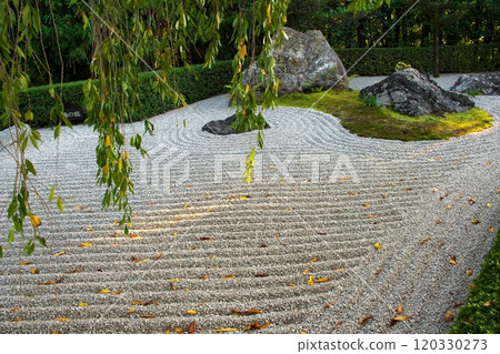 京都的泰藏院、太陽花園 120330273