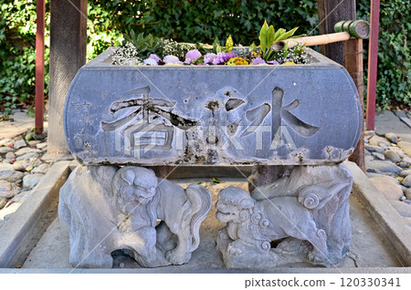 Walking around Shinmachi: At Kikuinari Shrine, Shinmachi, Takasaki City 120330341