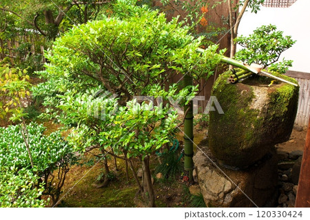 Temple garden with a tsukubai Temple garden with a tsukubai 120330424