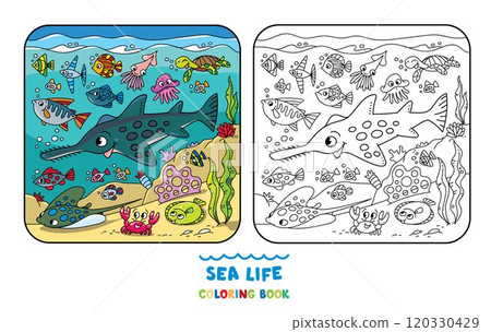 Sea theme. Sawfish coloring book. Kids vector 120330429
