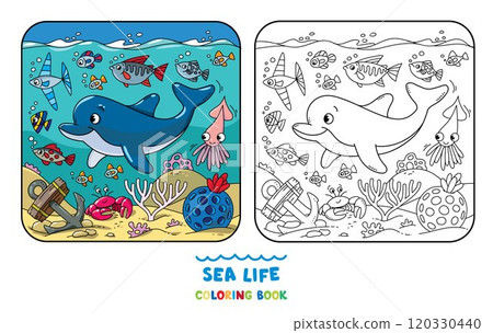 Sea theme. Dolphin coloring book. Kids vector 120330440