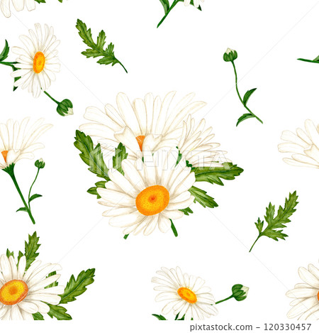 Watercolor seamless pattern with chamomile flowers and leaves. For printing the design on fabric. 120330457