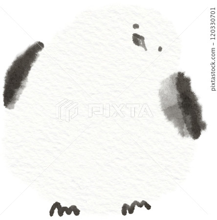 長尾蛾歪頭插畫素材 長尾蛾歪頭插畫素材 120330701