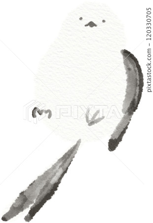 Illustration material of a long-tailed tit showing its belly Illustration material of a long-tailed tit showing its belly 120330705