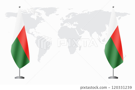 Madagascar and Madagascar flags for official meeting 120331239