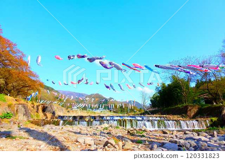 山形市高瀨川鯉魚旗、鯉魚旗、鯉魚旗 120331823
