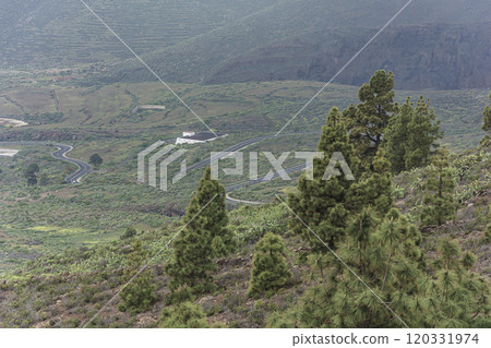 Mountain landscape. A winding road in a mountainous area. 120331974