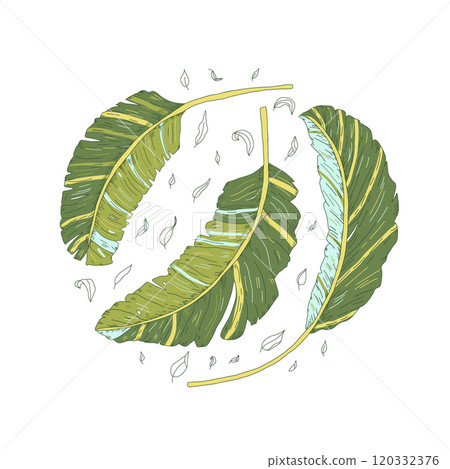 Banana leaves circular emblem. Symbols of purity, abundance and hospitality. Vector hand drawn collection illustration isolated on white background. 120332376