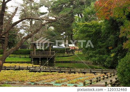 Early autumn park Early autumn park 120332460