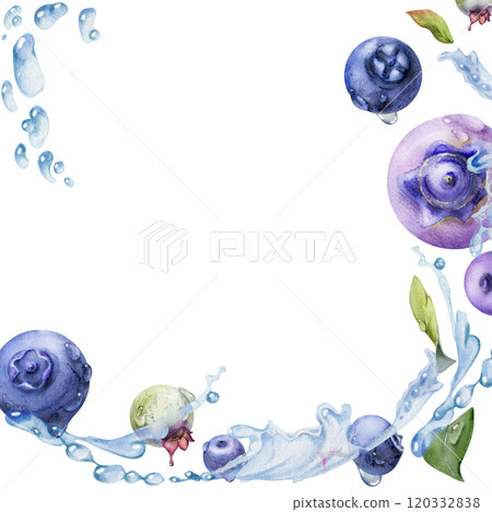 Blueberry blackberry flying in water splash with drops and green leaves, hand drawn in watercolor, ripe summer forest berry. Isolated border frame illustration. Restaurant, cafe menu, farmers market Blueberry blackberry flying in water splash with drops and green leaves, hand drawn in watercolor, ripe summer forest berry. Isolated border frame illustration. Restaurant, cafe menu, farmers market 120332838