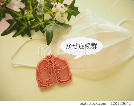 Lung model and cold syndrome text, mask Lung model and cold syndrome text, mask 120333642