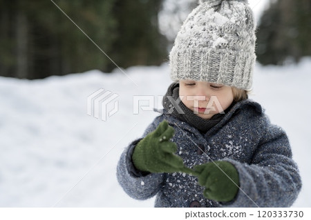 Portrait of small boy enjoying winter holiday in the mountains with family, playing in snow. 120333730