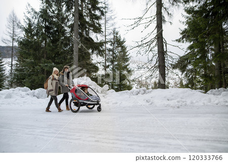 Young family is enjoying winter holiday in the mountains. Parents pushing kids in wagon stroller through snowy forest. 120333766