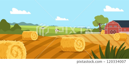 Agricultural landscape. Hay rolls in farmer field, dry grass for livestock feed, yellow straw, wheat stalks, harvest, village background, cartoon flat isolated nowaday vector concept Agricultural landscape. Hay rolls in farmer field, dry grass for livestock feed, yellow straw, wheat stalks, harvest, village background, cartoon flat isolated nowaday vector concept 120334007