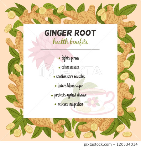 Ginger frame. Boosting immunity, edible plant root for spices, ale and tea, natural botanical product, organic food, banner with copy space, cartoon flat isolated tidy vector concept 120334014