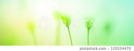 Green blurred natural background. Abstract green nature wallpaper Green blurred natural background. Abstract green nature wallpaper 120334478