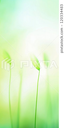 Green blurred natural background. Abstract green nature wallpaper Green blurred natural background. Abstract green nature wallpaper 120334483